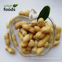 Venda quente Inshell de amendoim moído cru na China por 1 kg de preço